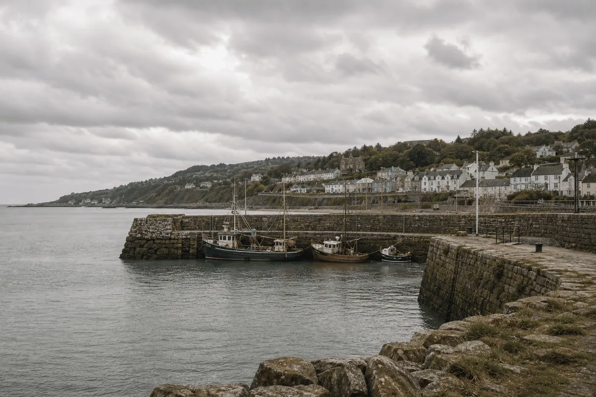 Landscaping in Wicklow Town, Co. Wicklow